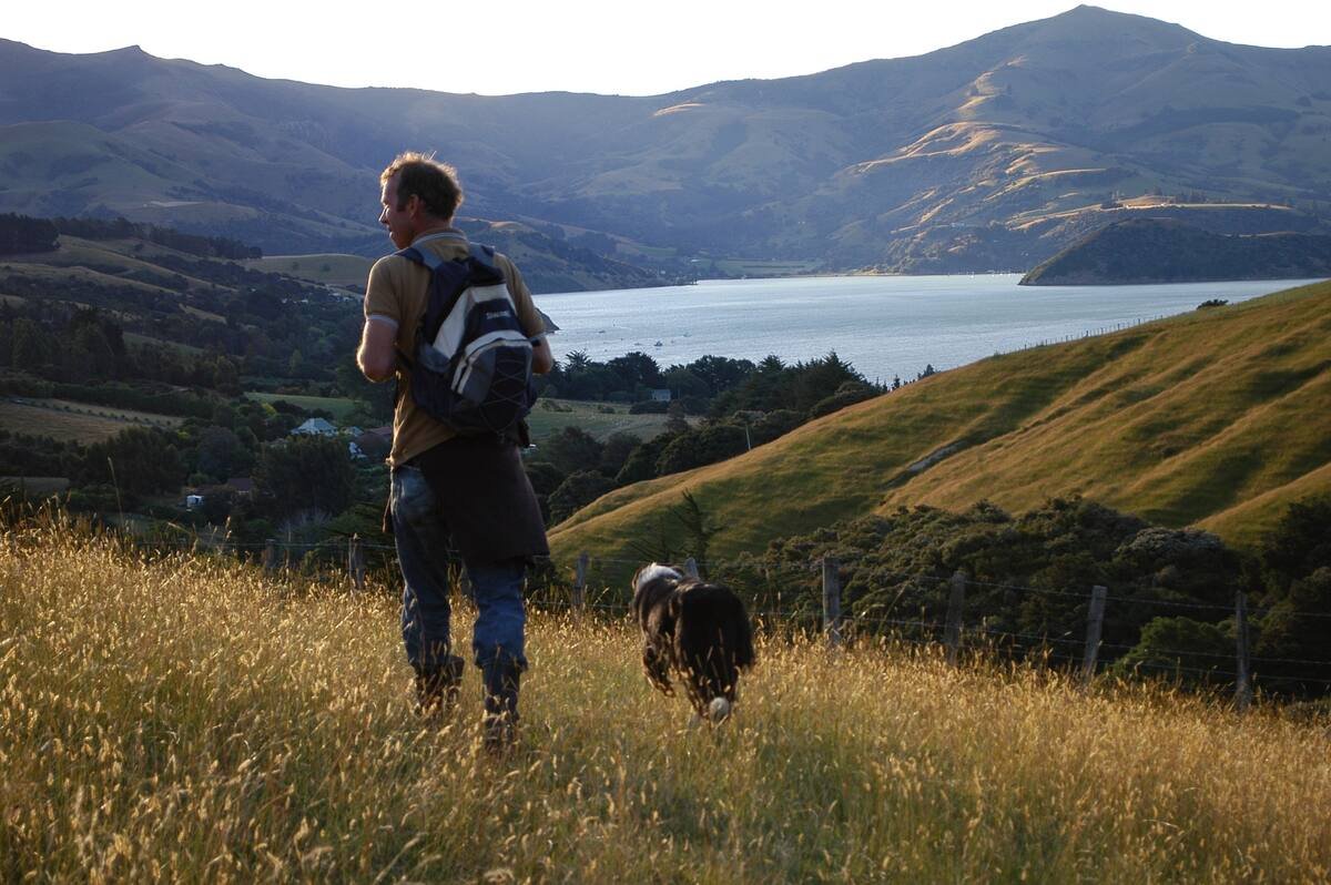 walking on the farm